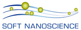 Center for Soft Nanoscience (SoN)